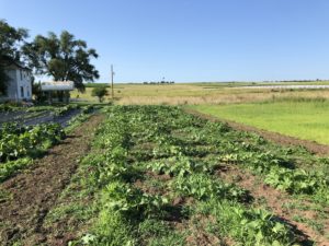 Agri-Tourism Kansas Farm Dinner